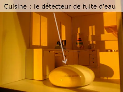 détecteur de fuite d'eau